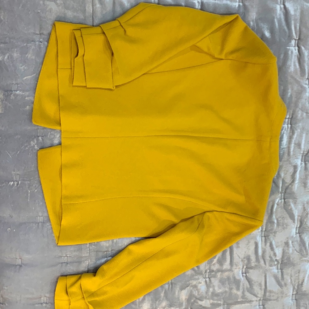 Yellow jacket - Picture 3 of 3